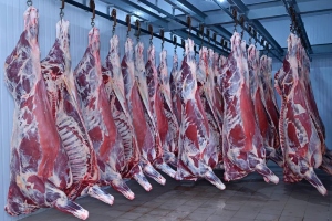 hanging%20meat_300x200.jpg