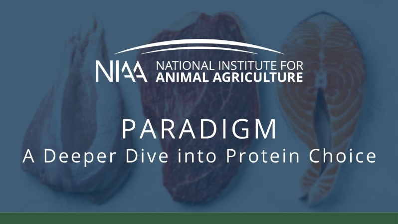 Paradigm: A Deeper Dive into Protein Choice