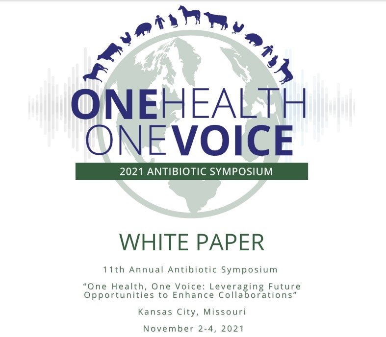 11th Annual Antibiotic Symposium White Paper