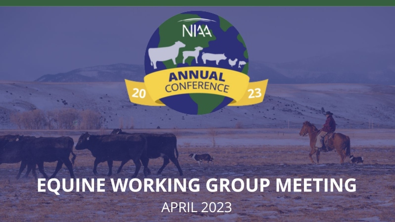 Equine Working Group 4/20/23