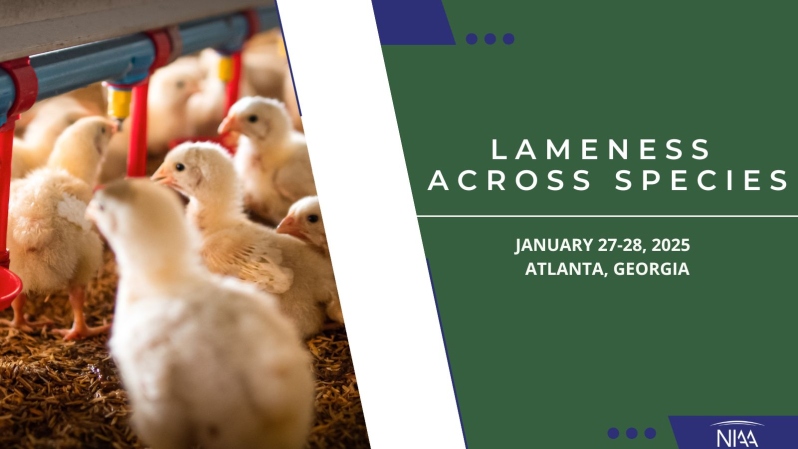 Product Description: White Paper from Lameness Across Species Roundtable on January 27-28, 2025.</br>Lameness could be defined as a disorder of the musculoskeletal system, an injury, disease, or anatomical problem of the affected animal that results in an abnormality or change in gait or stance, lameness negatively affects animal welfare from the inflicted pain, which in turn leads to decreased productivity, as well as a complex cascade of detrimental physiological changes within the animal, due to this deviation from normal behavior and physiology.</br>Access complementary for NIAA members and event attendees. Please log in to ensure discount.</br> 2025 Lameness Across Species White Paper